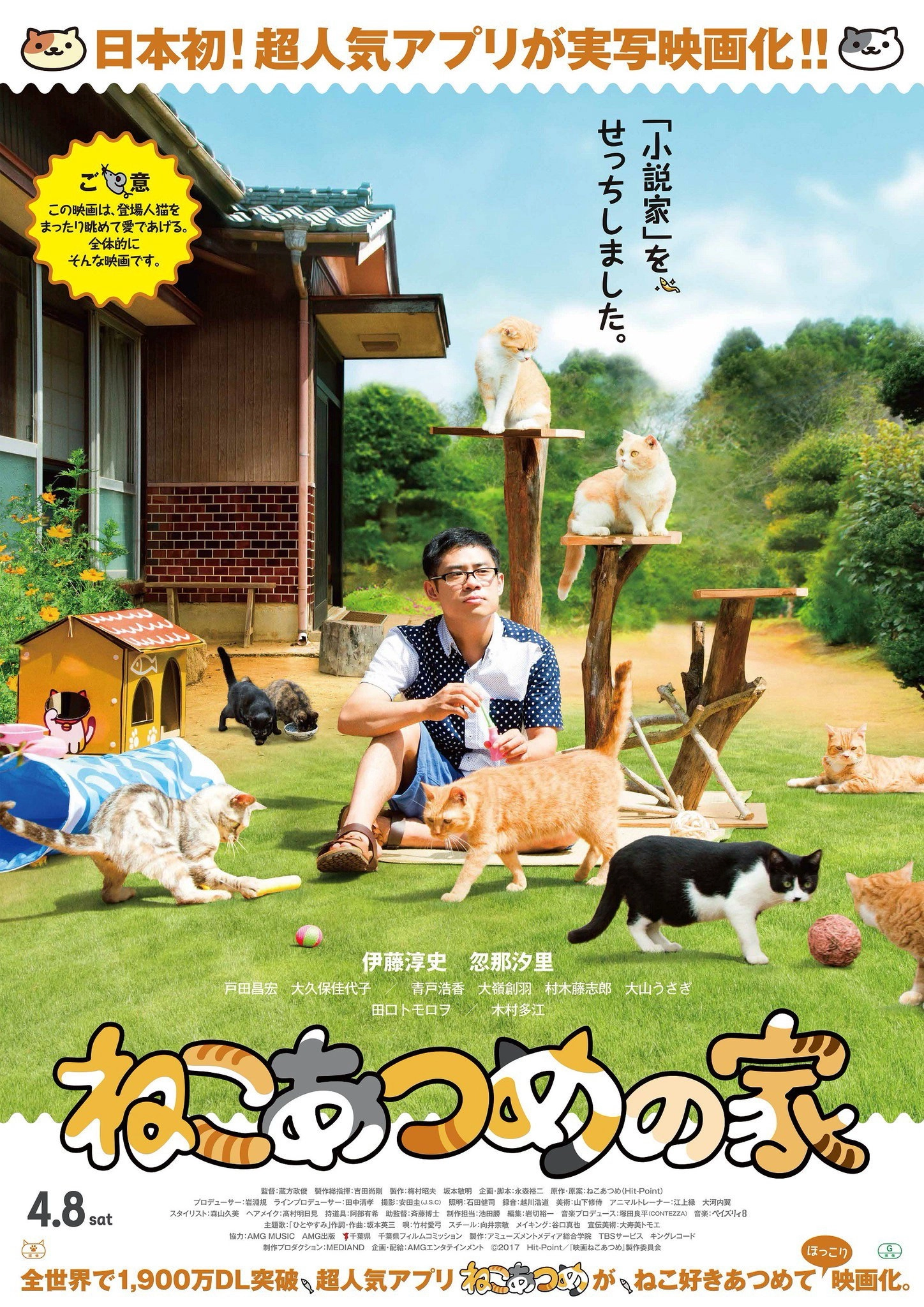 Neko Atsume House