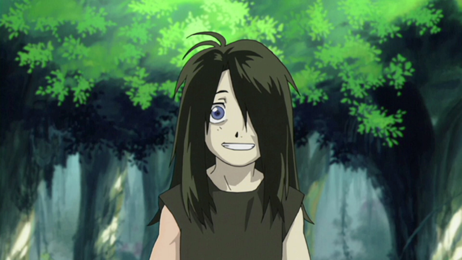 Fullmetal Alchemist