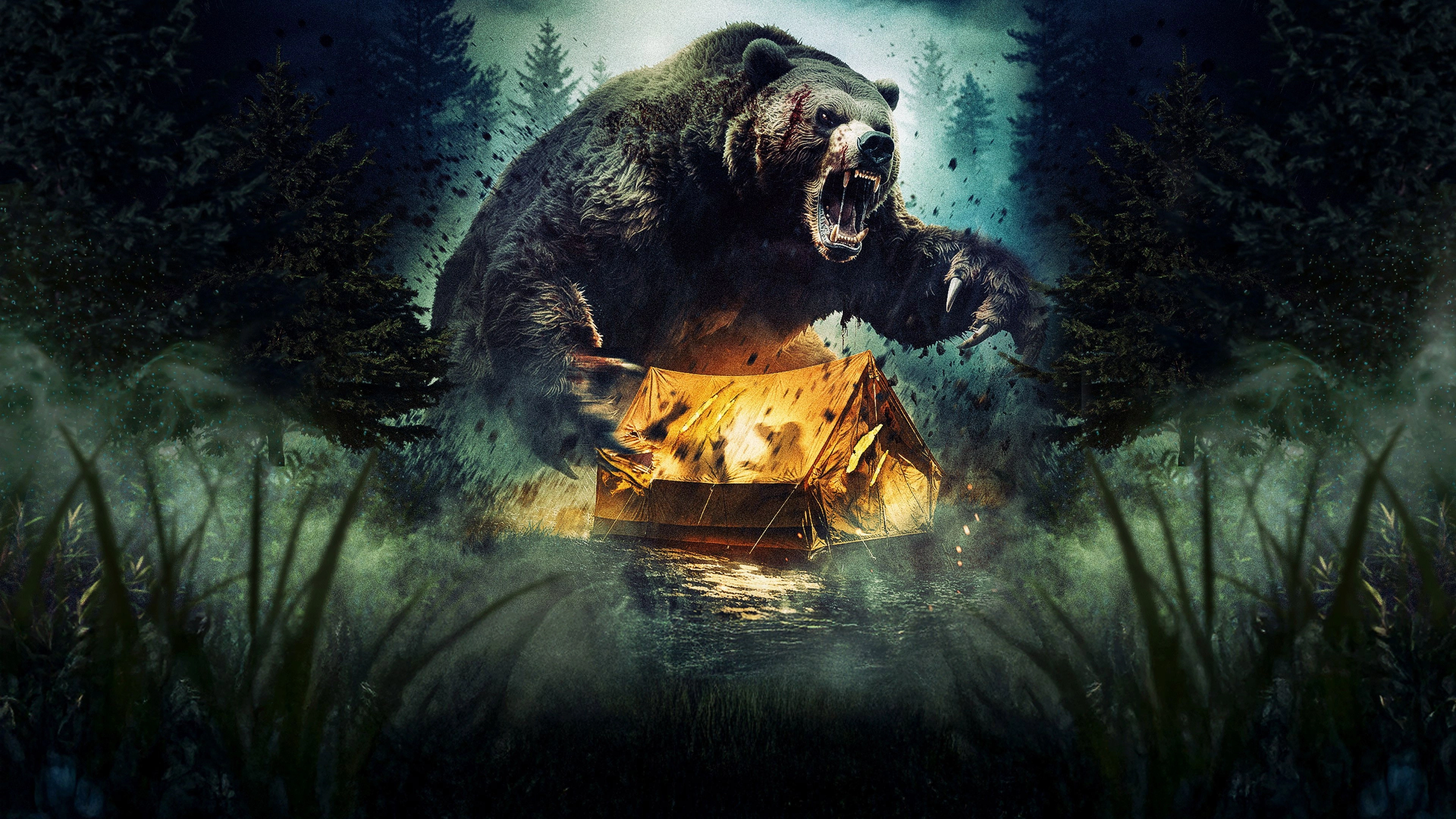 Grizzly Night