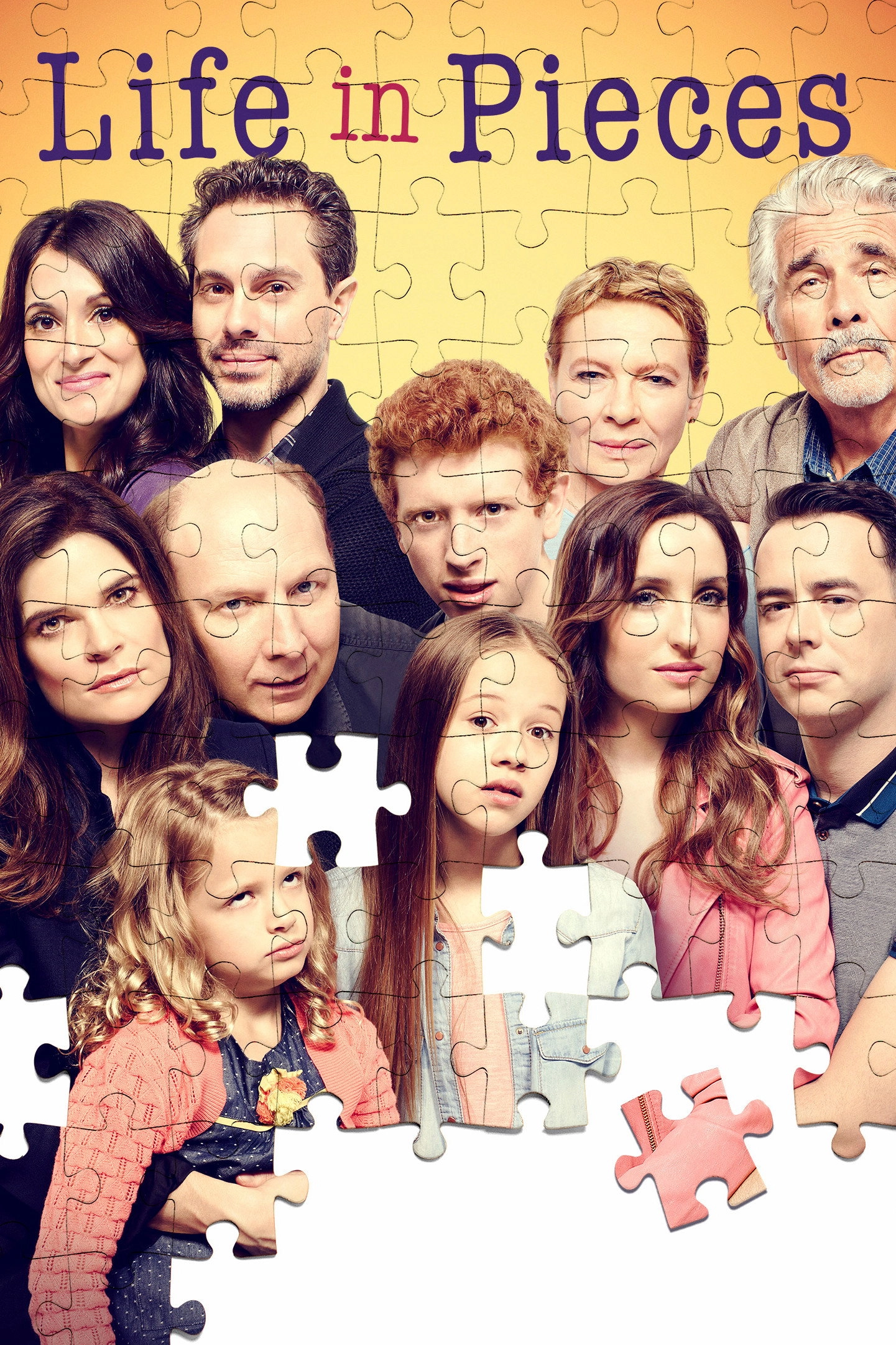 Life in Pieces
