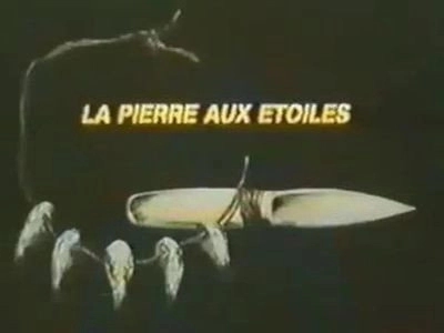 Rahan, fils des ages farouches