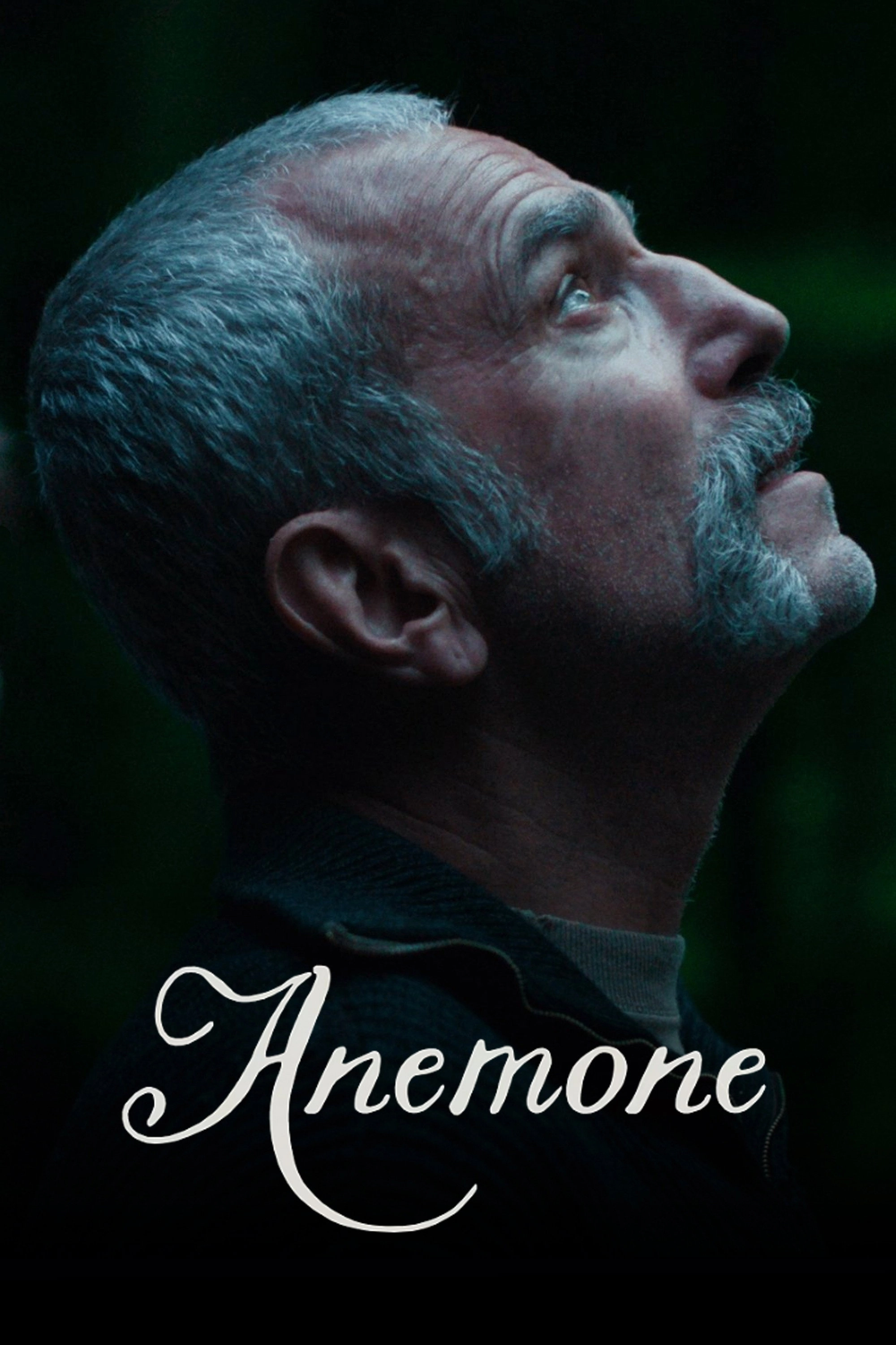 Anemone