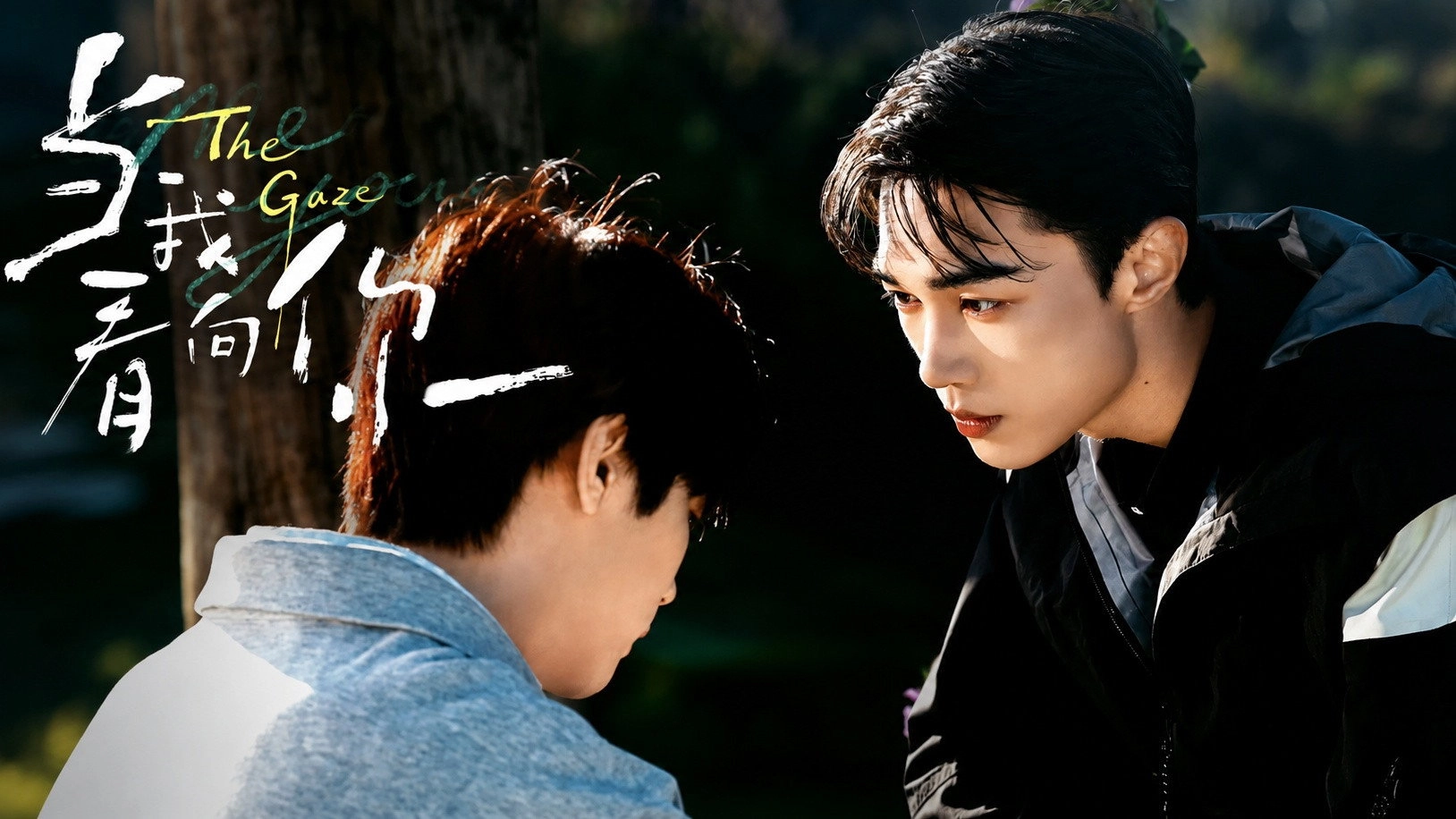 The Gaze