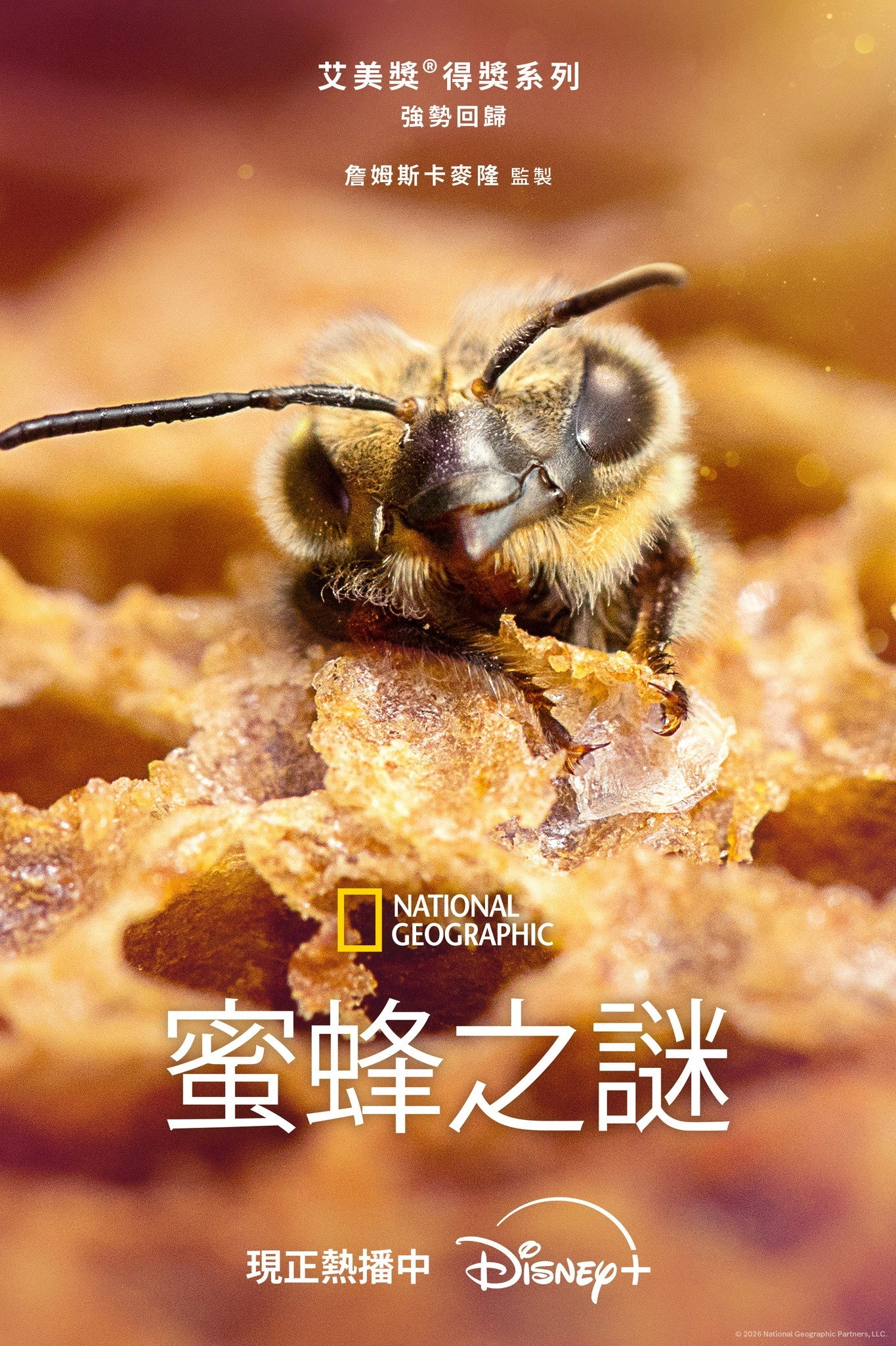 Secrets of the Bees
