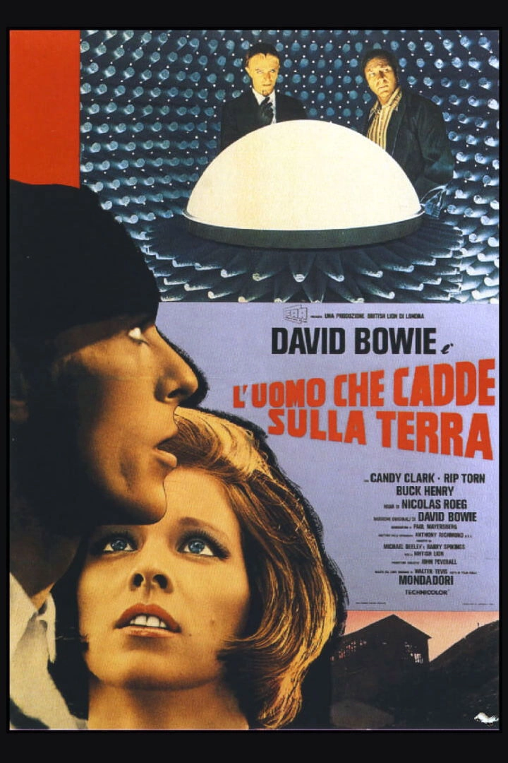 The Man Who Fell to Earth