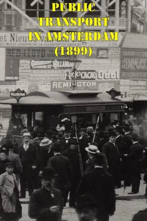 Public Transport in Amsterdam