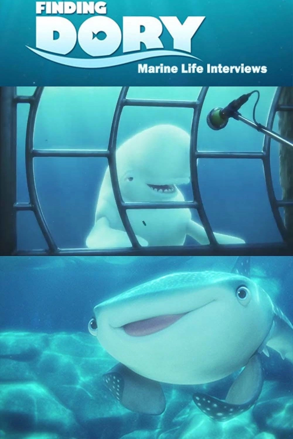 Marine Life Interviews