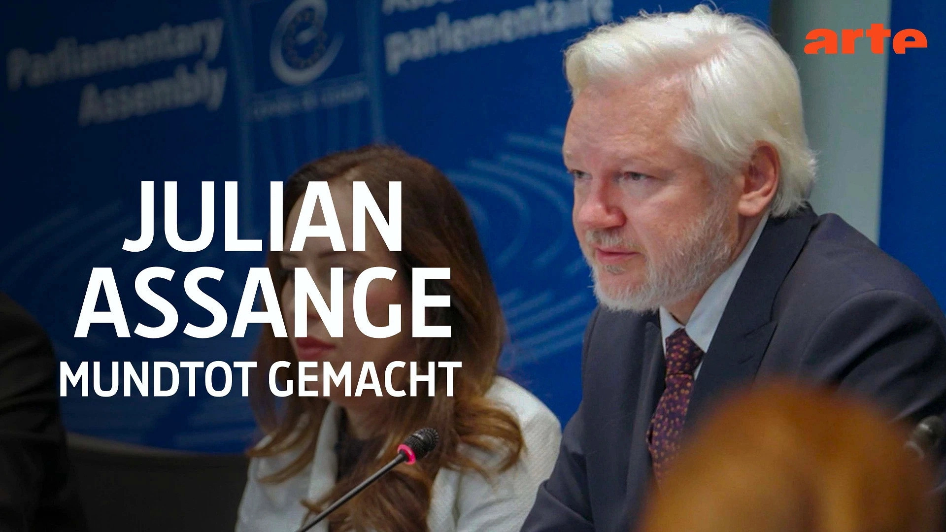 Julian Assange: Silenced