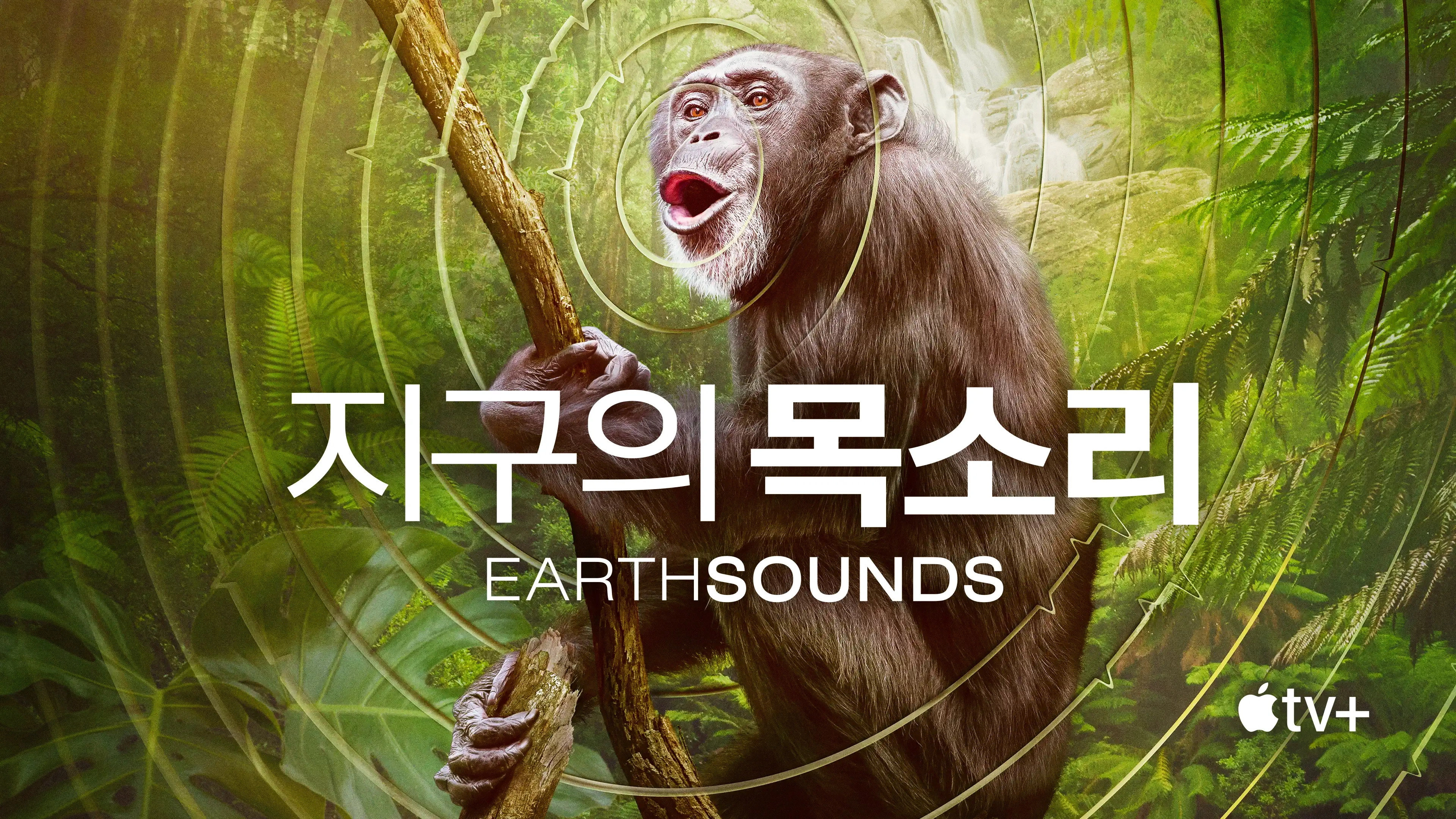 Earthsounds