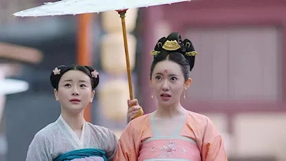 Qing Qing Zi Jin