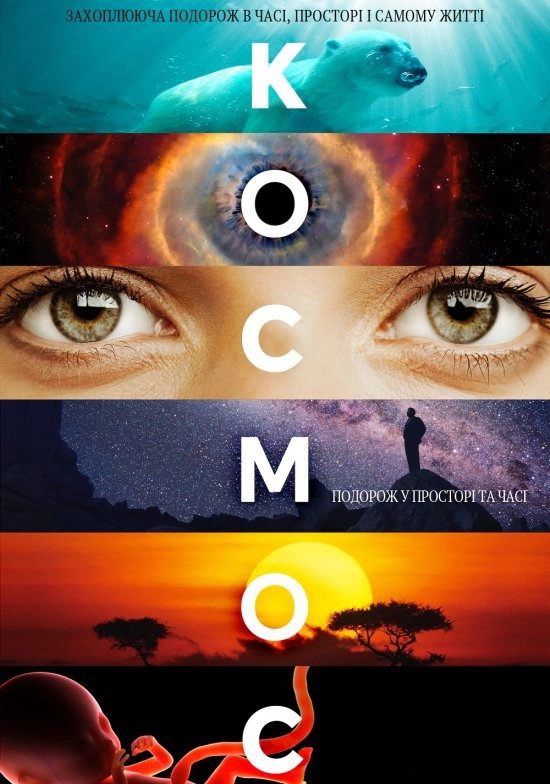 Cosmos