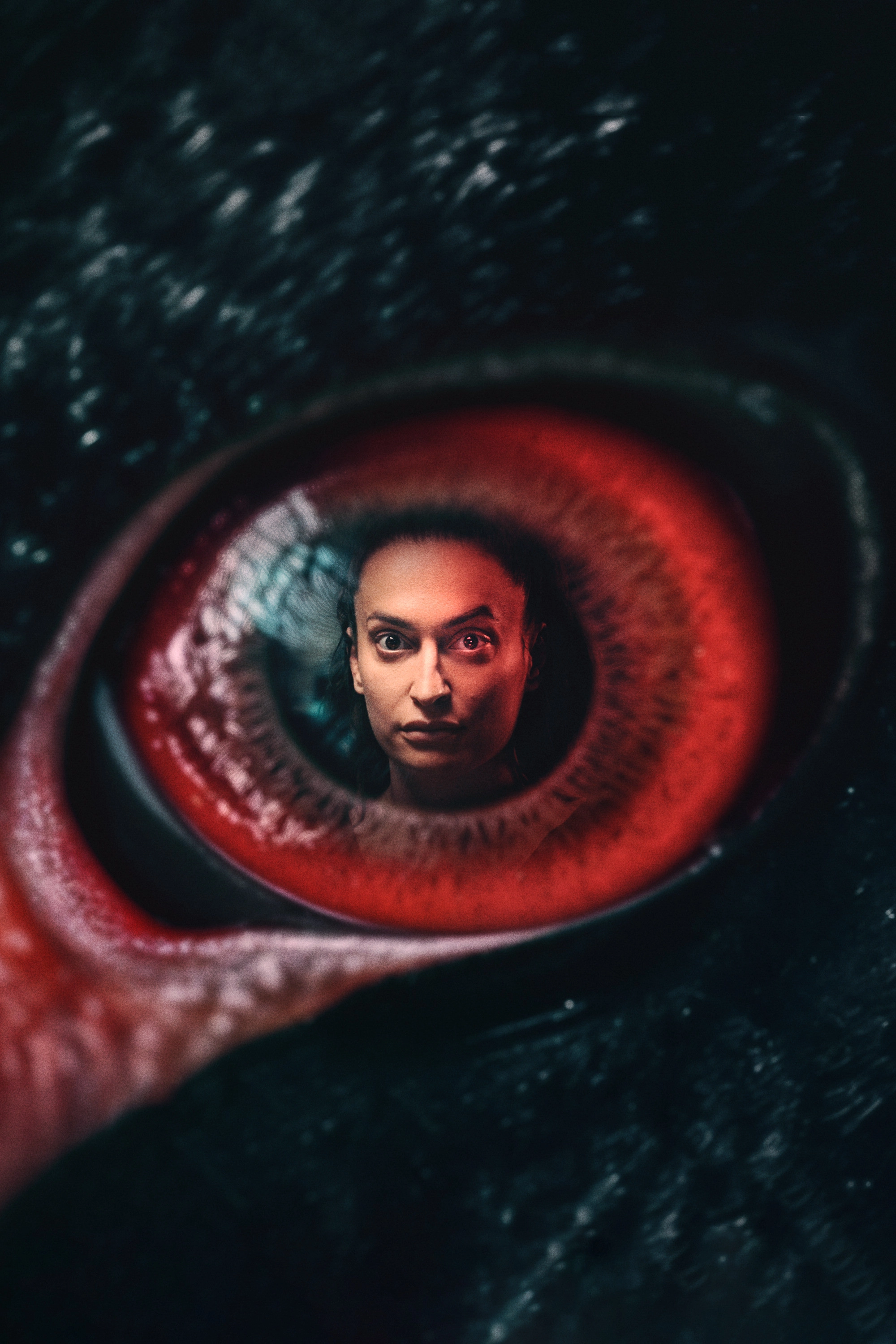 The Black Swan