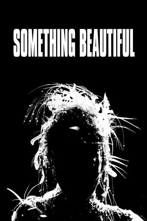 Miley Cyrus: Something Beautiful
