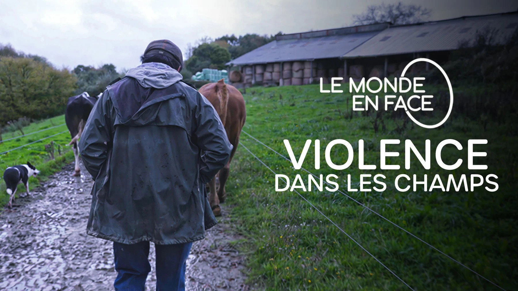 Violence dans les Champs