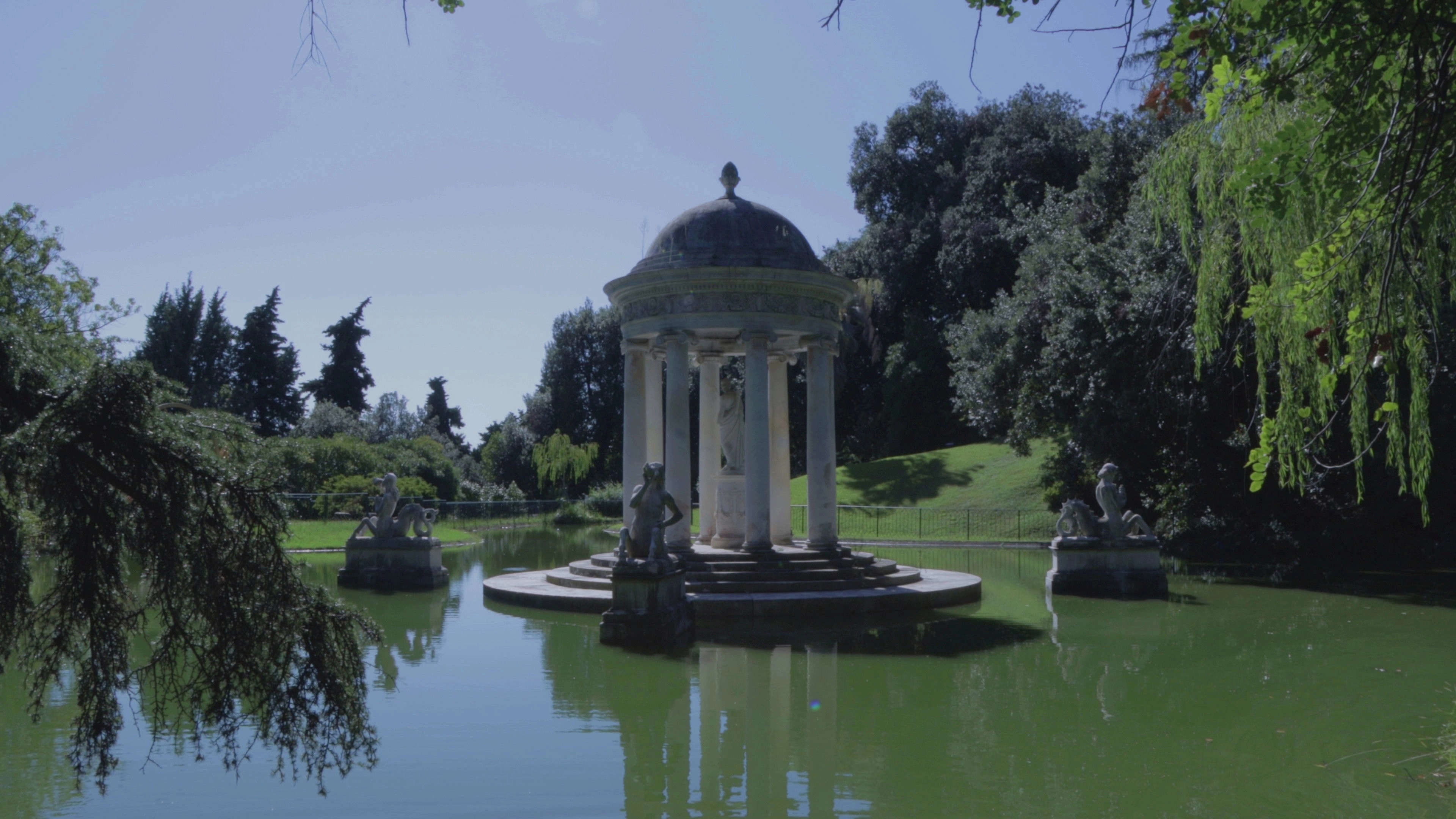 Nel silenzio del parco