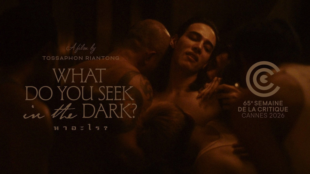 What Do You Seek in the Dark?