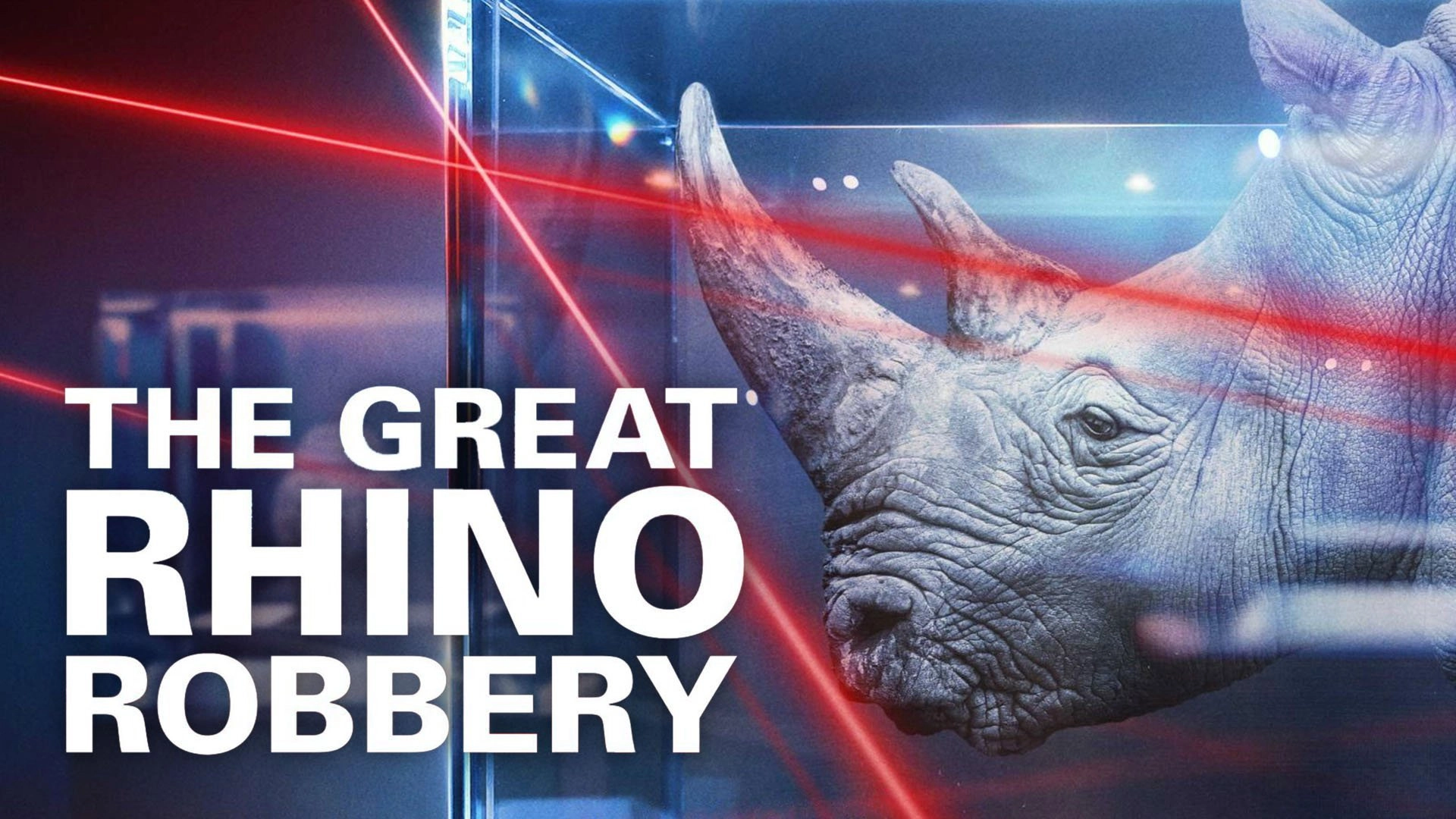 The Great Rhino Robbery