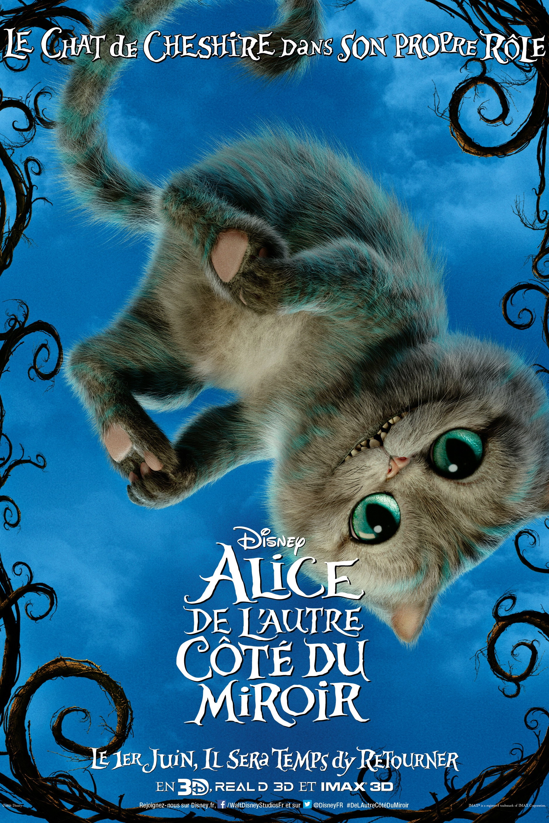 Alice Through the Looking Glass