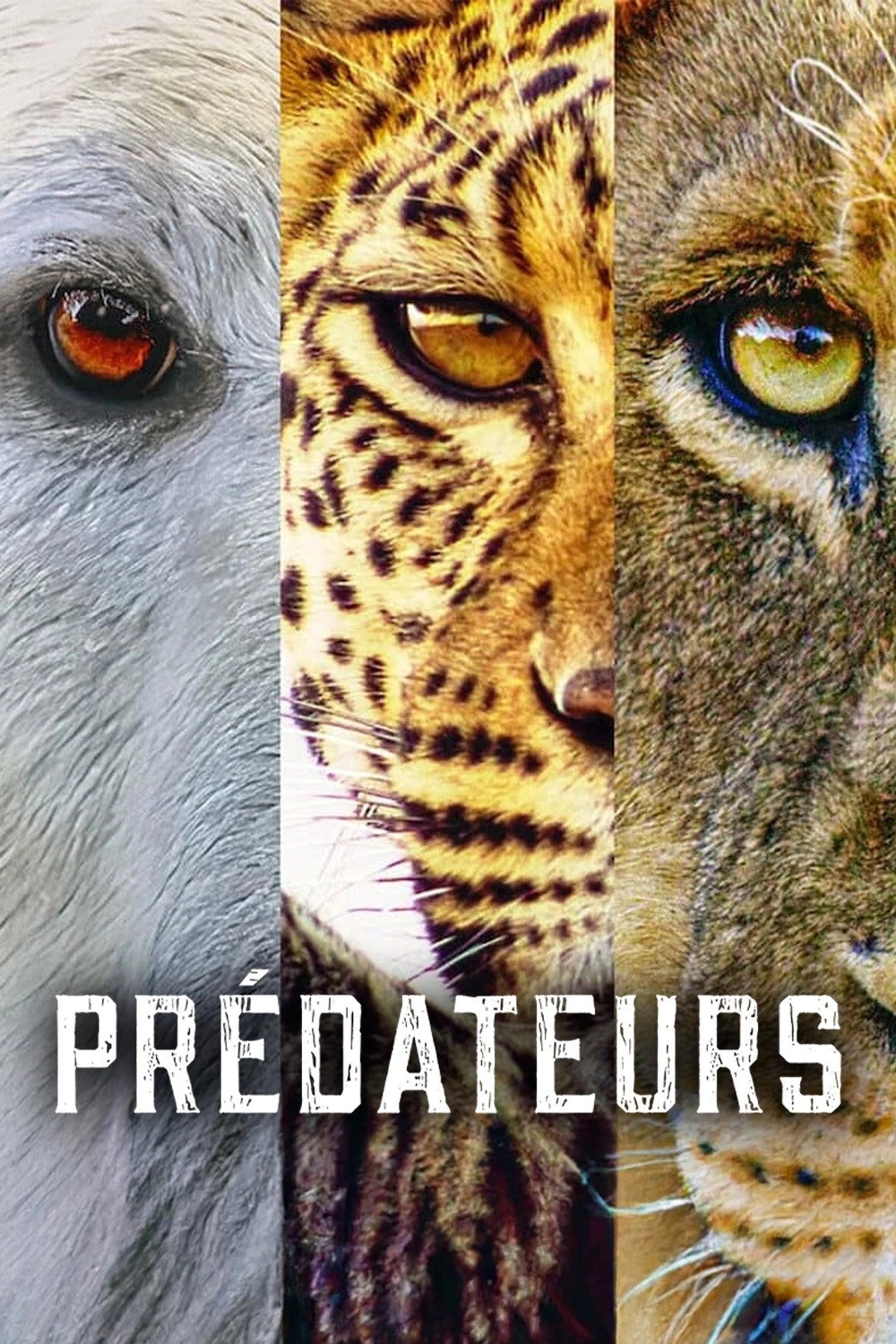 Predators