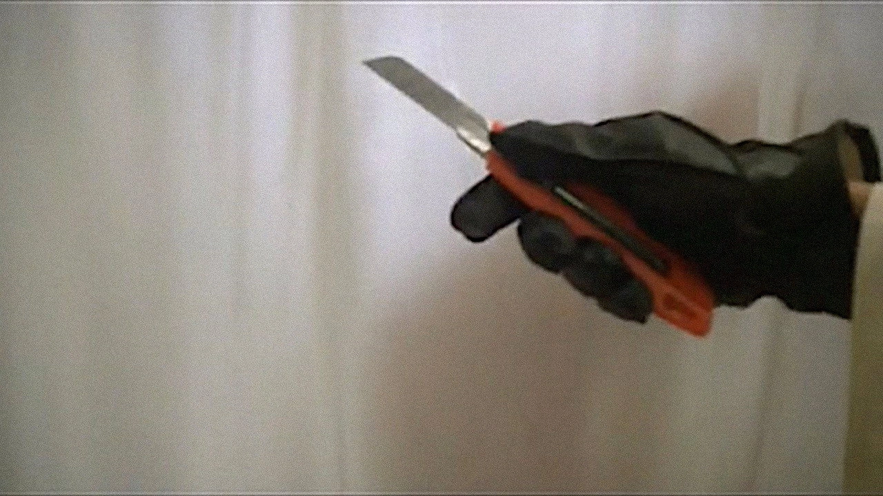 Pursuit of a Killer