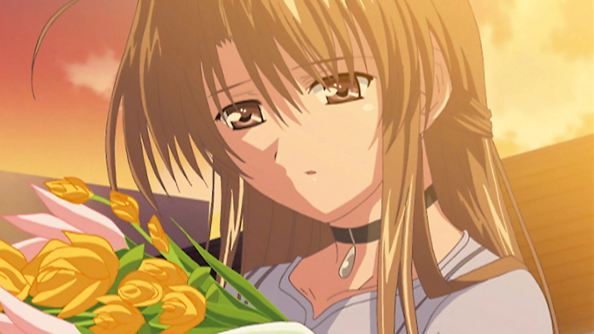 Tsuki ha Higashi ni Hi ha Nishi ni: Operation Sanctuary