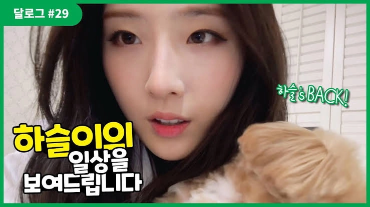 LOONA Log