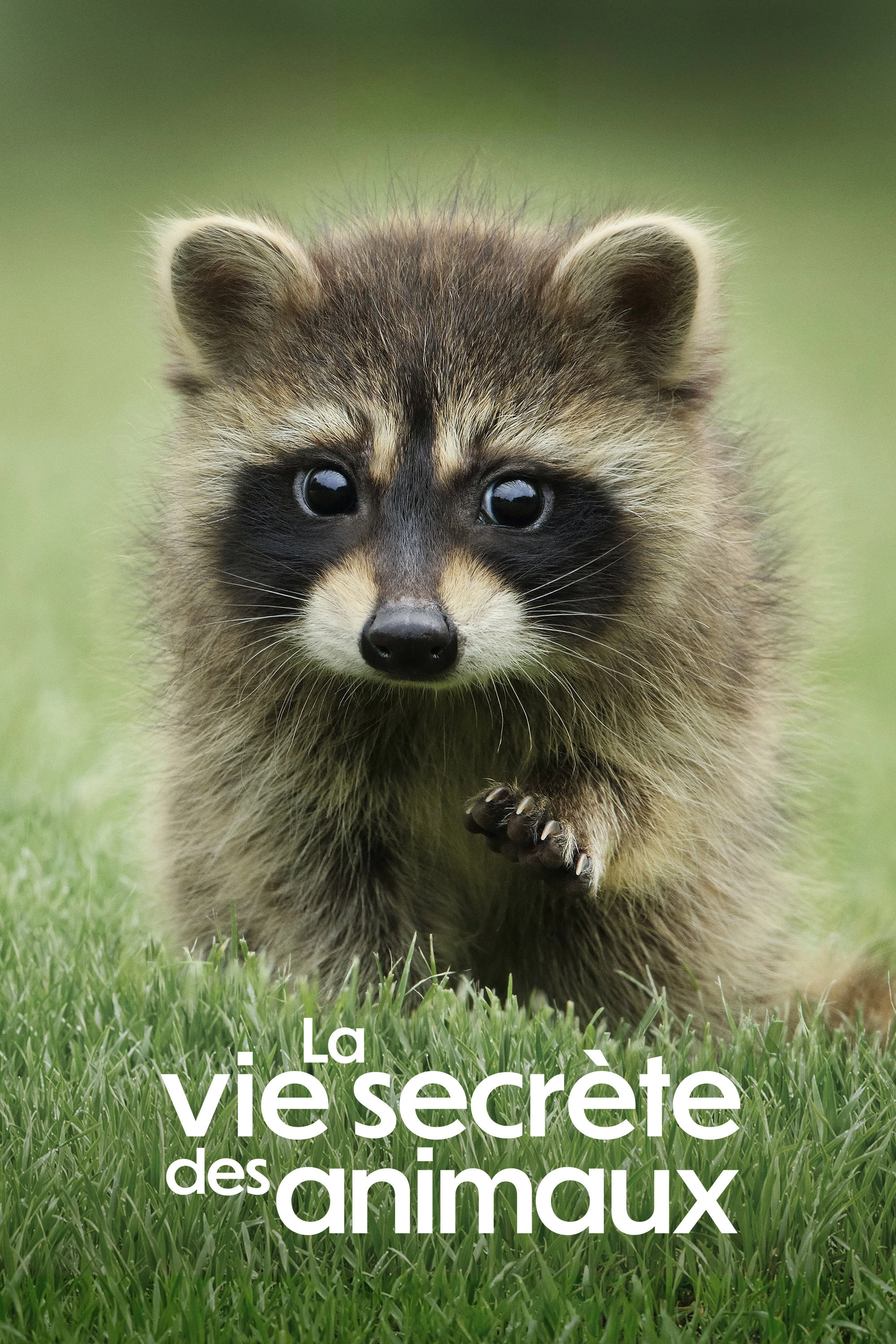 The Secret Lives of Animals