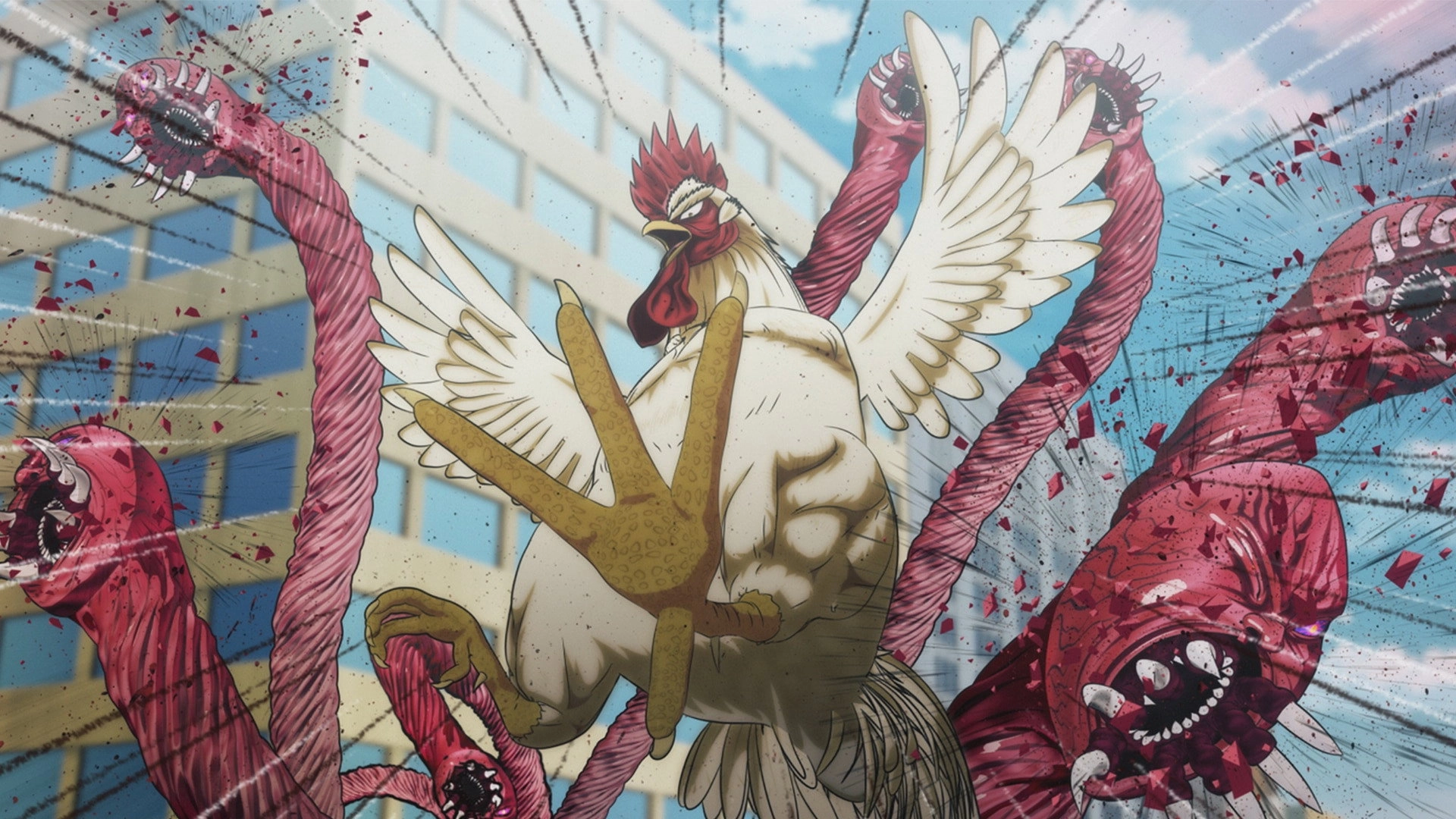 Rooster Fighter