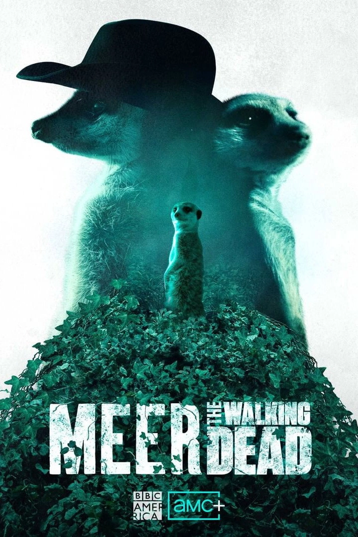 Meerkat Manor: Rise of the Dynasty
