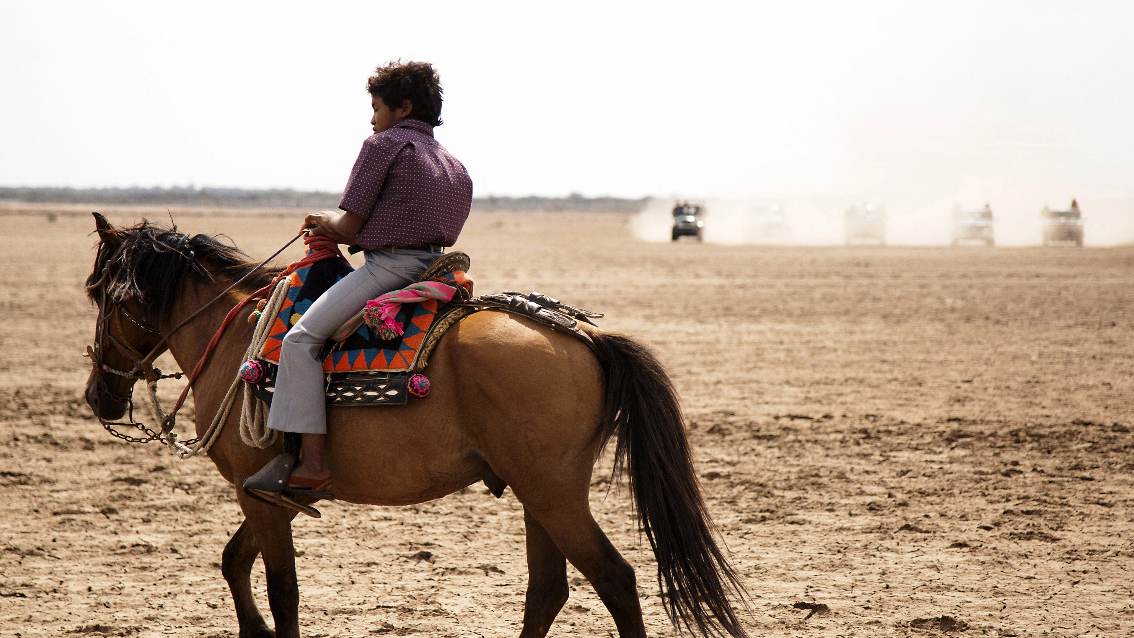 Birds of Passage