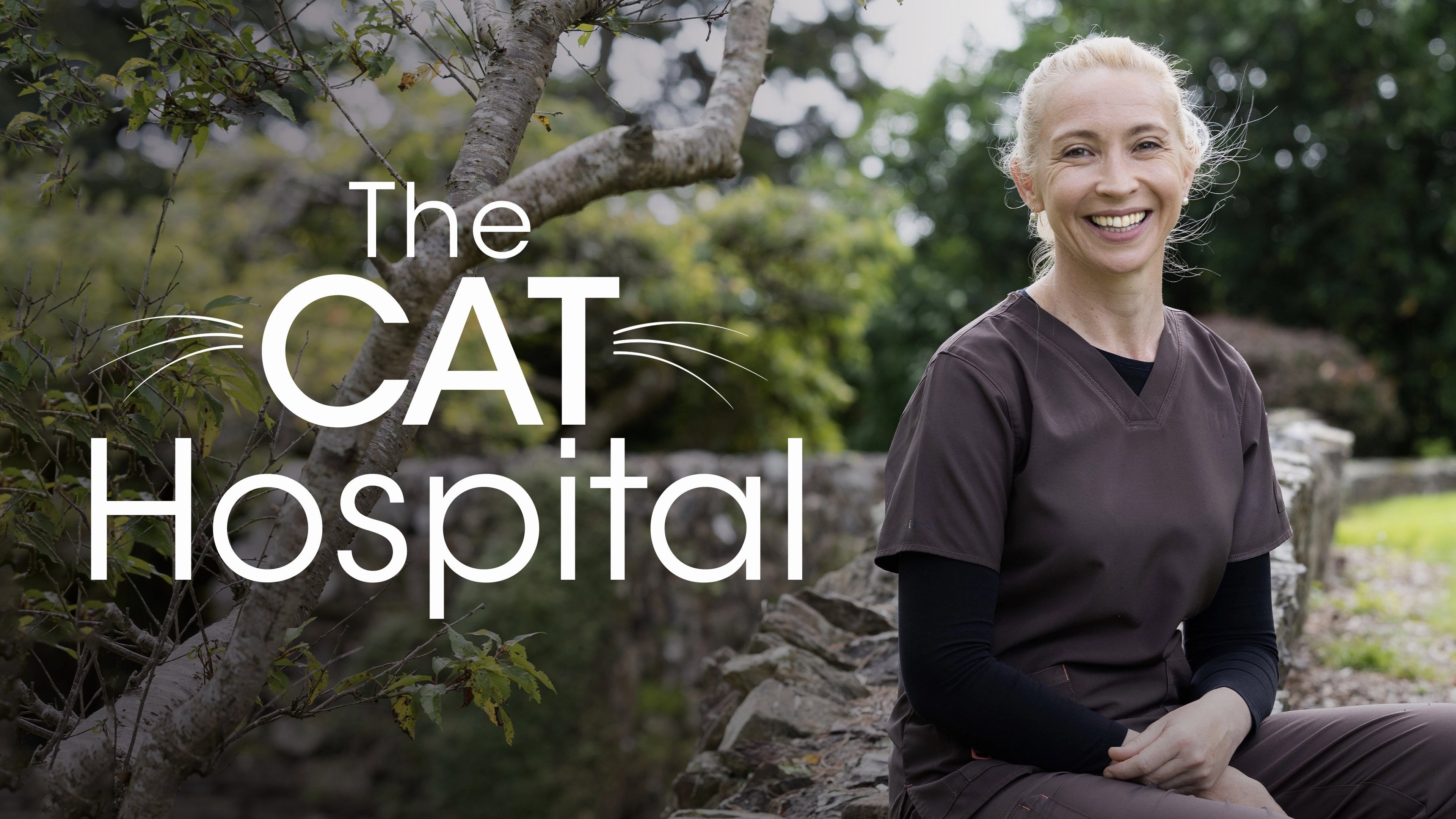 Cat Hospital