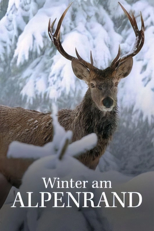 White Winter