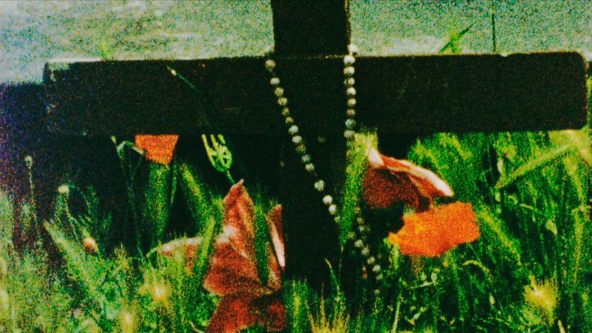 The Cradle