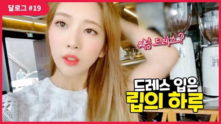 LOONA Log