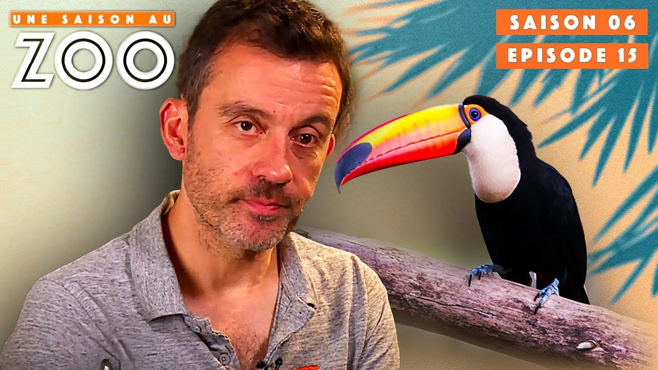Une saison au zoo