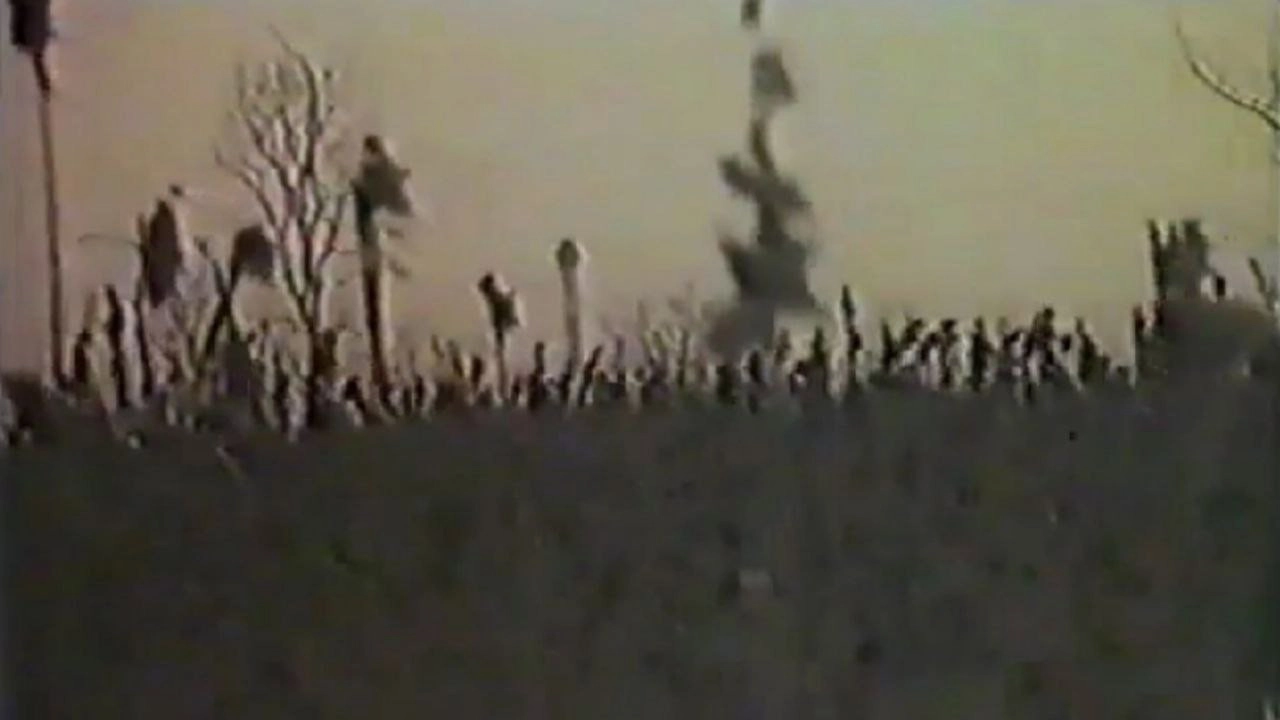 Angel of the Harvest