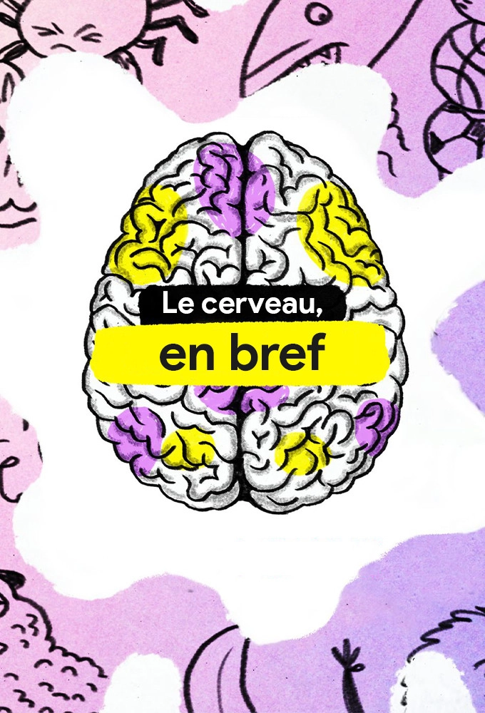 The Mind, Explained
