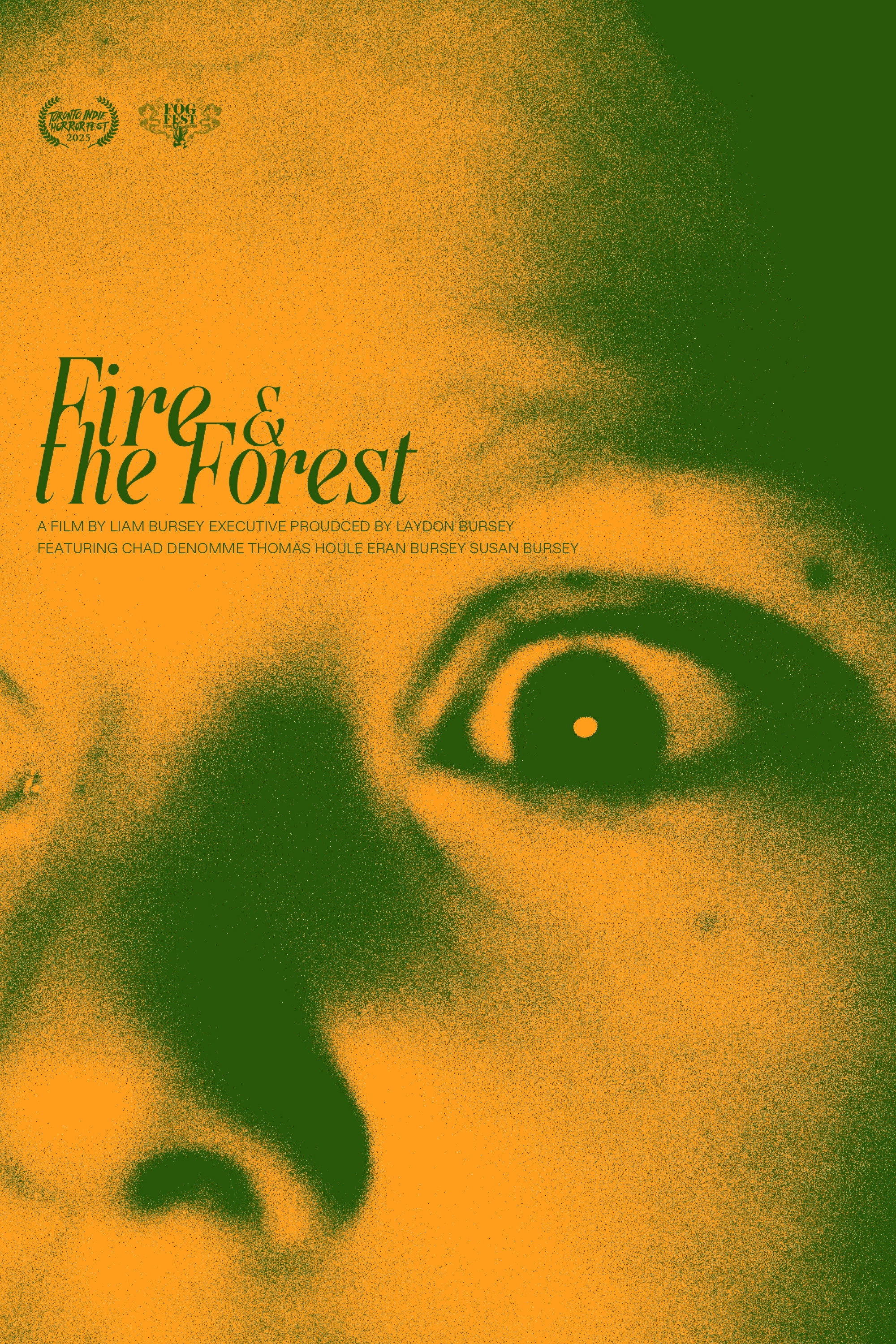 Fire and the Forest