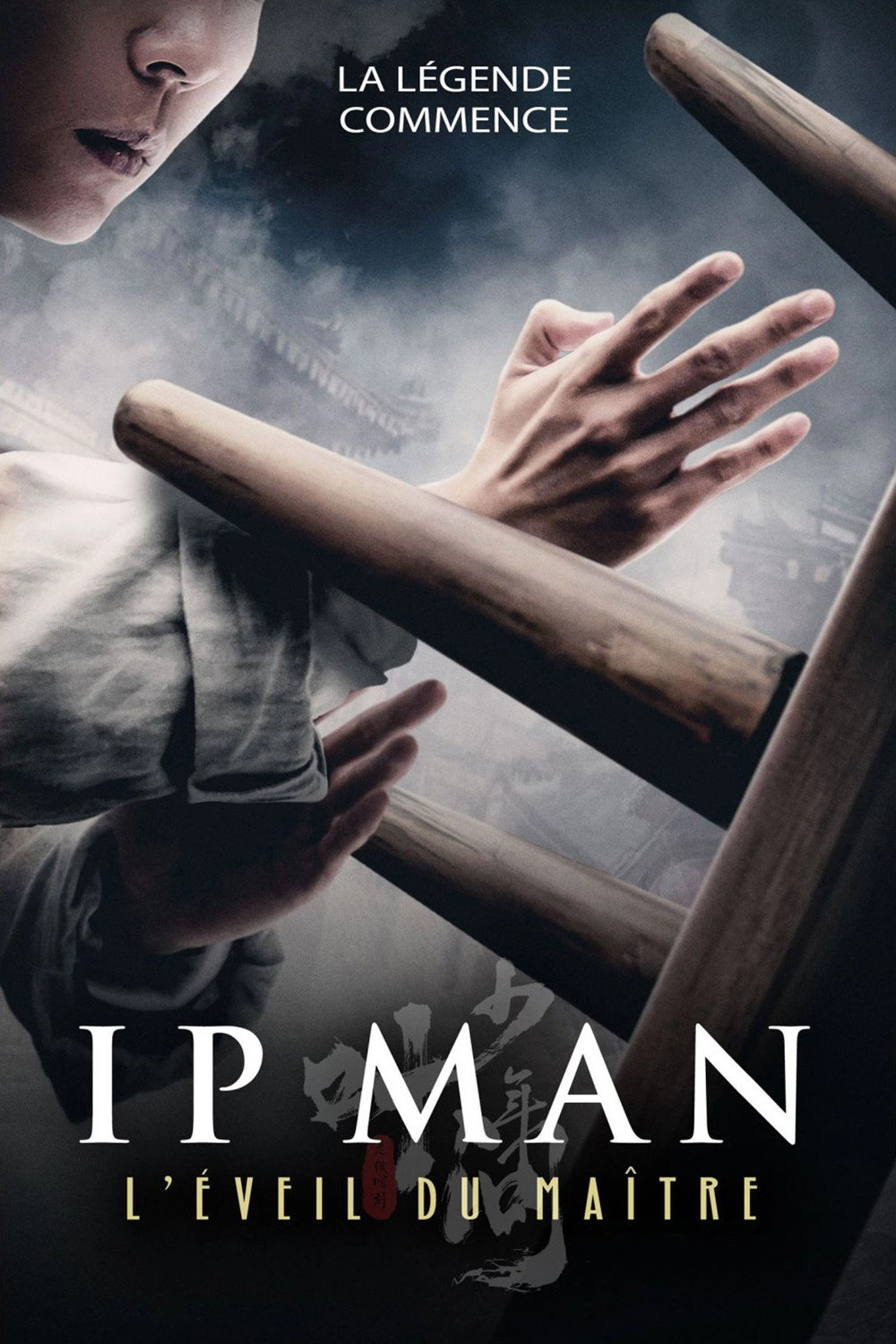 Ip Man: The Awakening