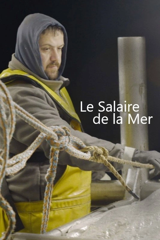 Coup de sang