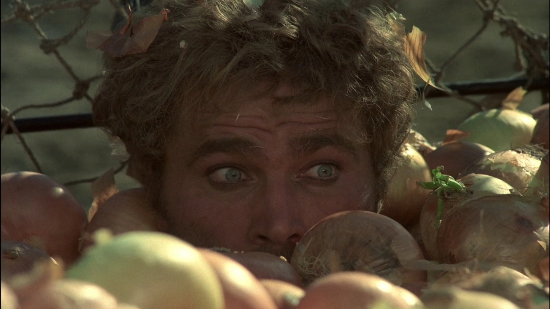 Cry, Onion!