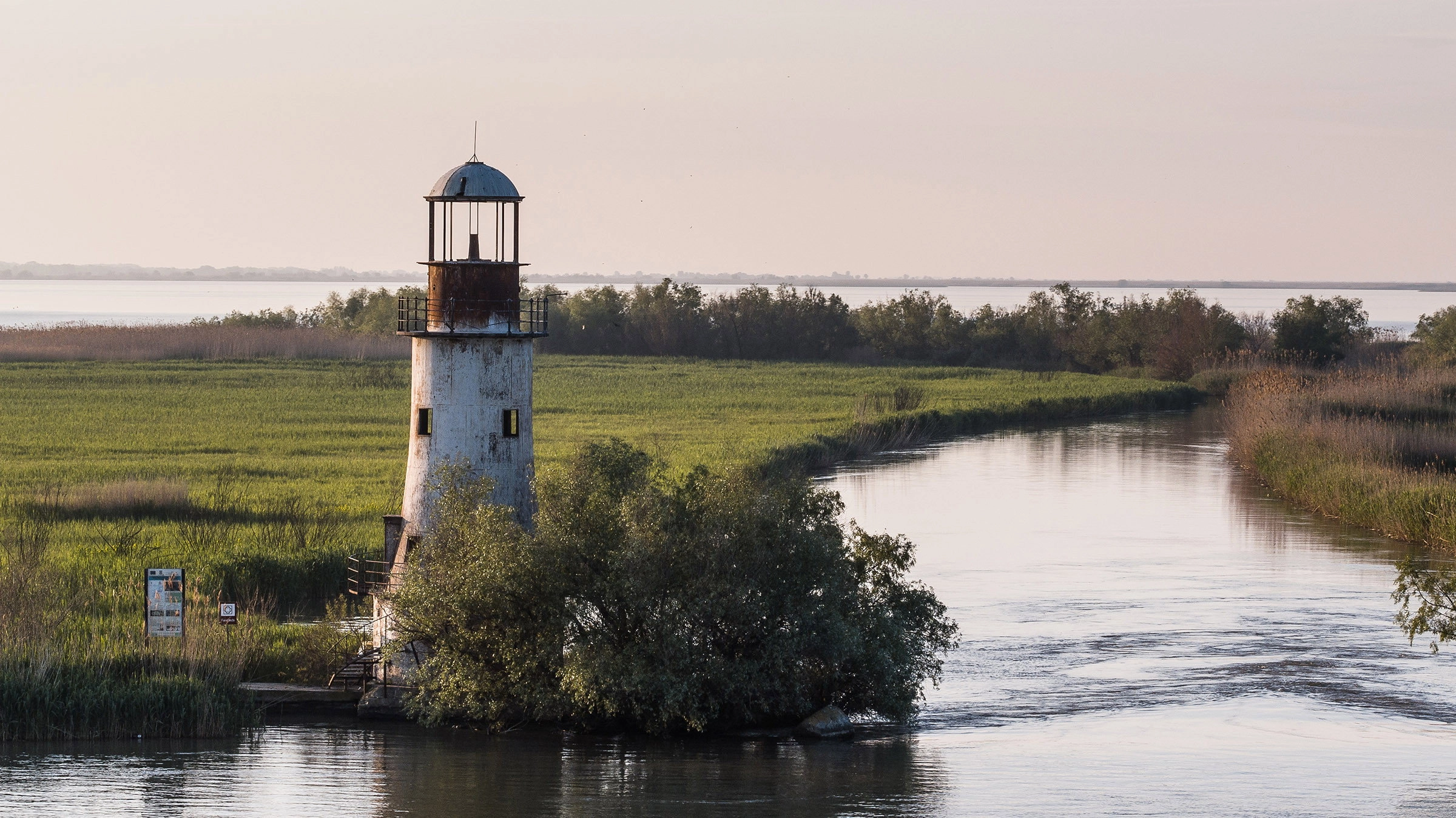 Europe's New Wild