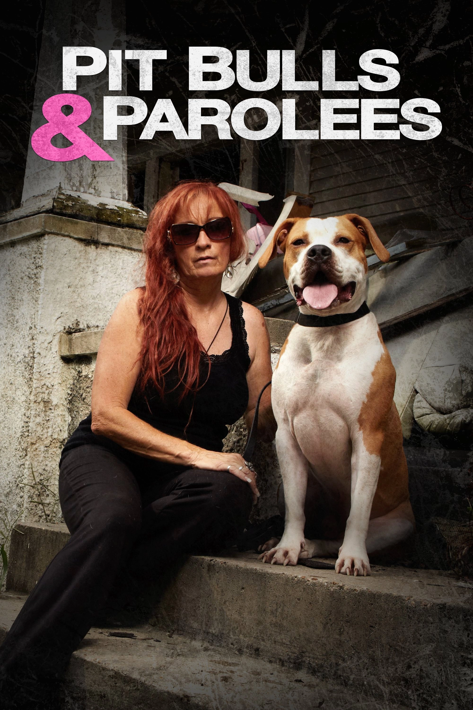 Pit Bulls and Parolees