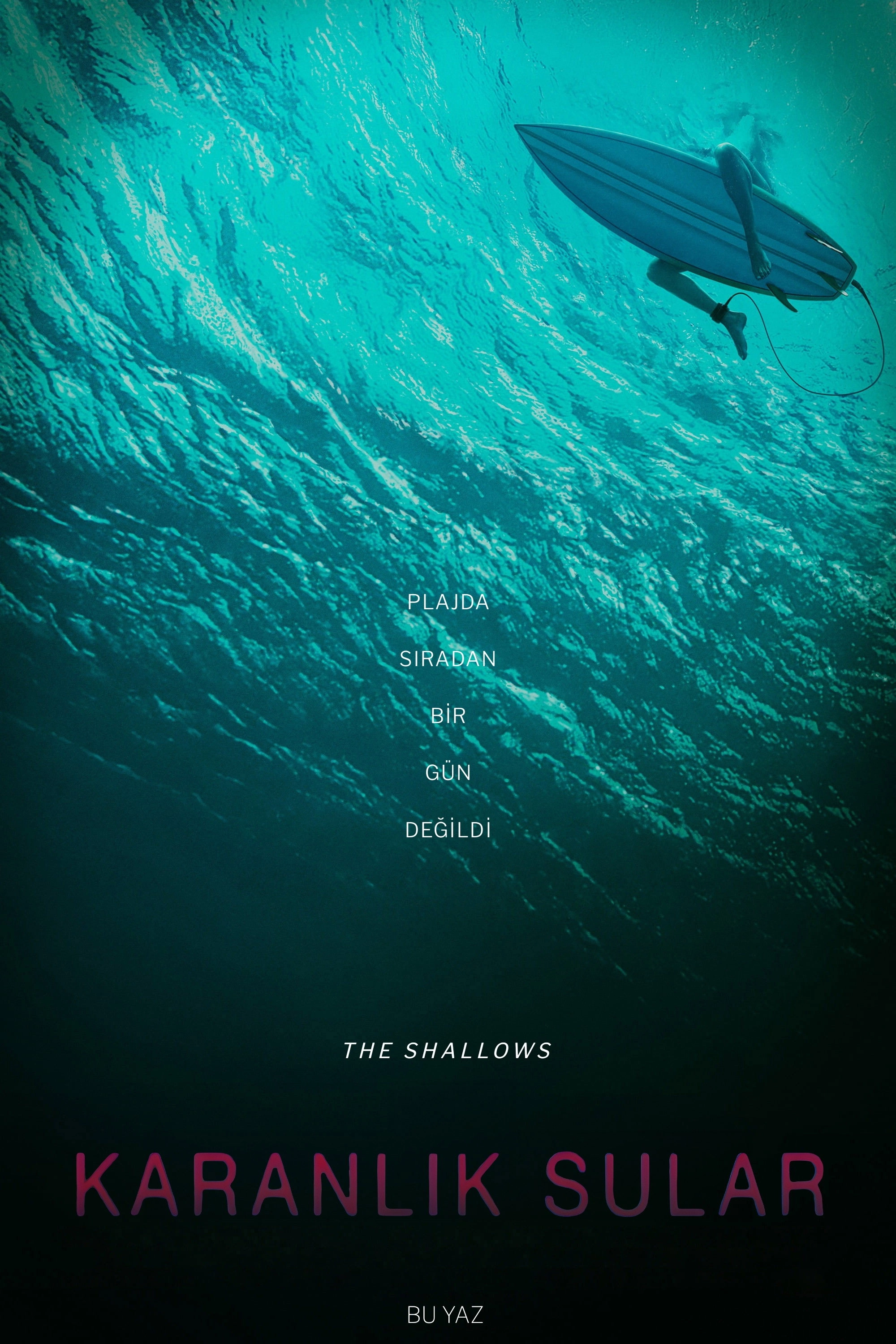 The Shallows