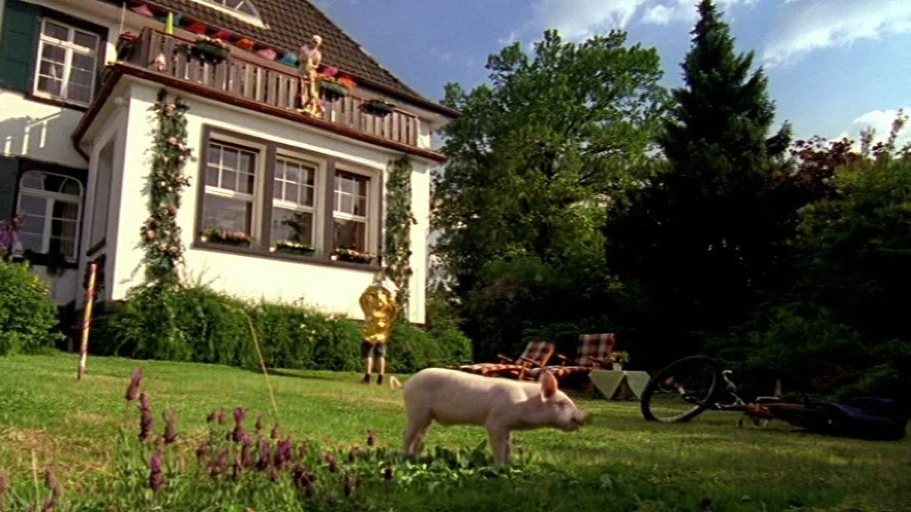Rennschwein Rudi Rüssel