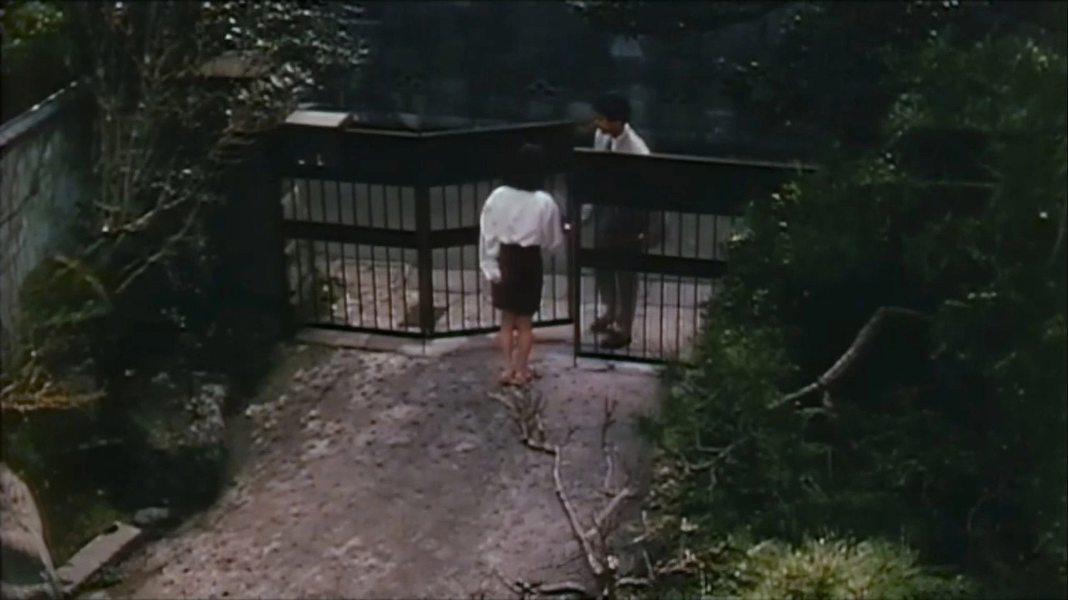 Gômon mizu-zeme