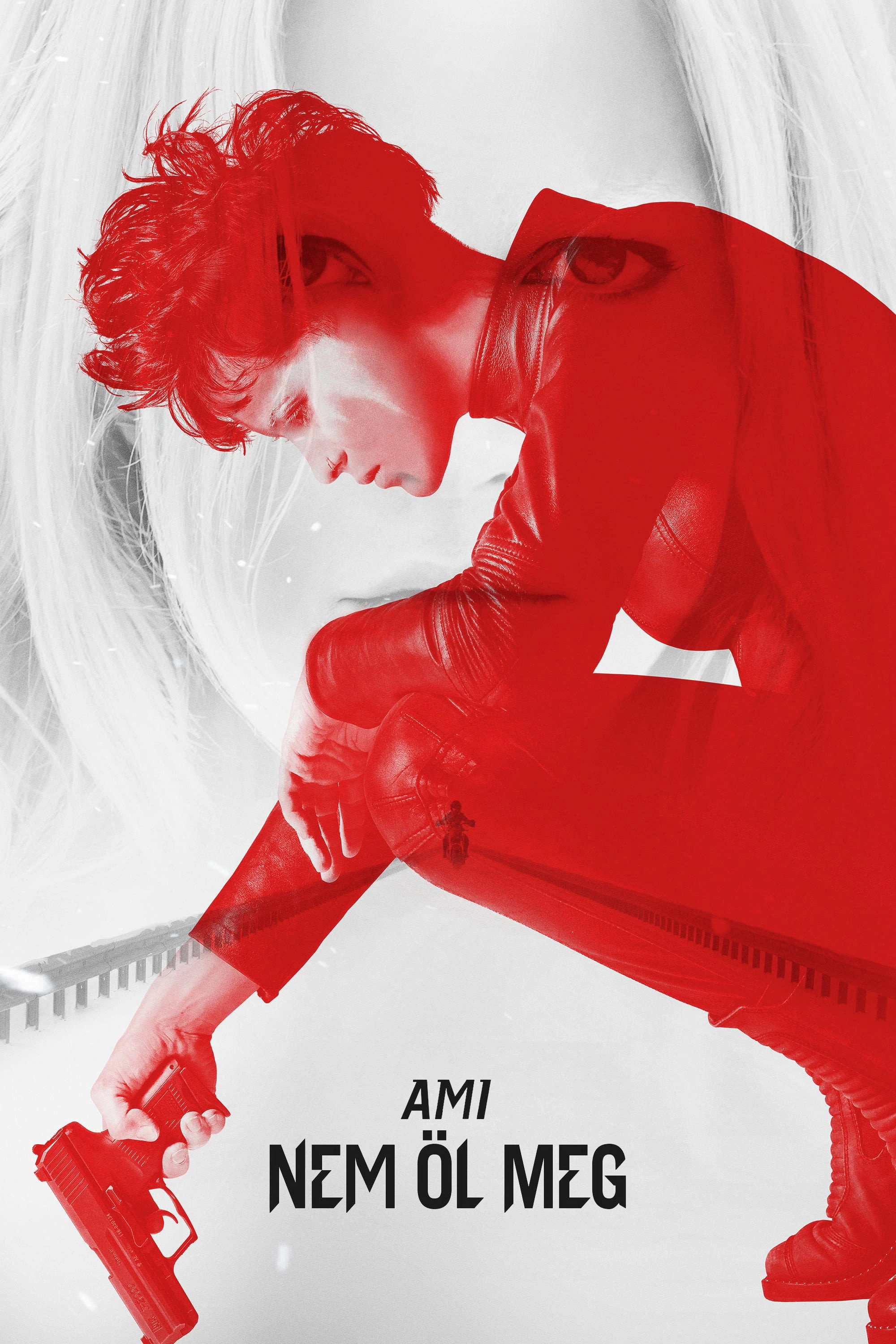 The Girl in the Spider's Web