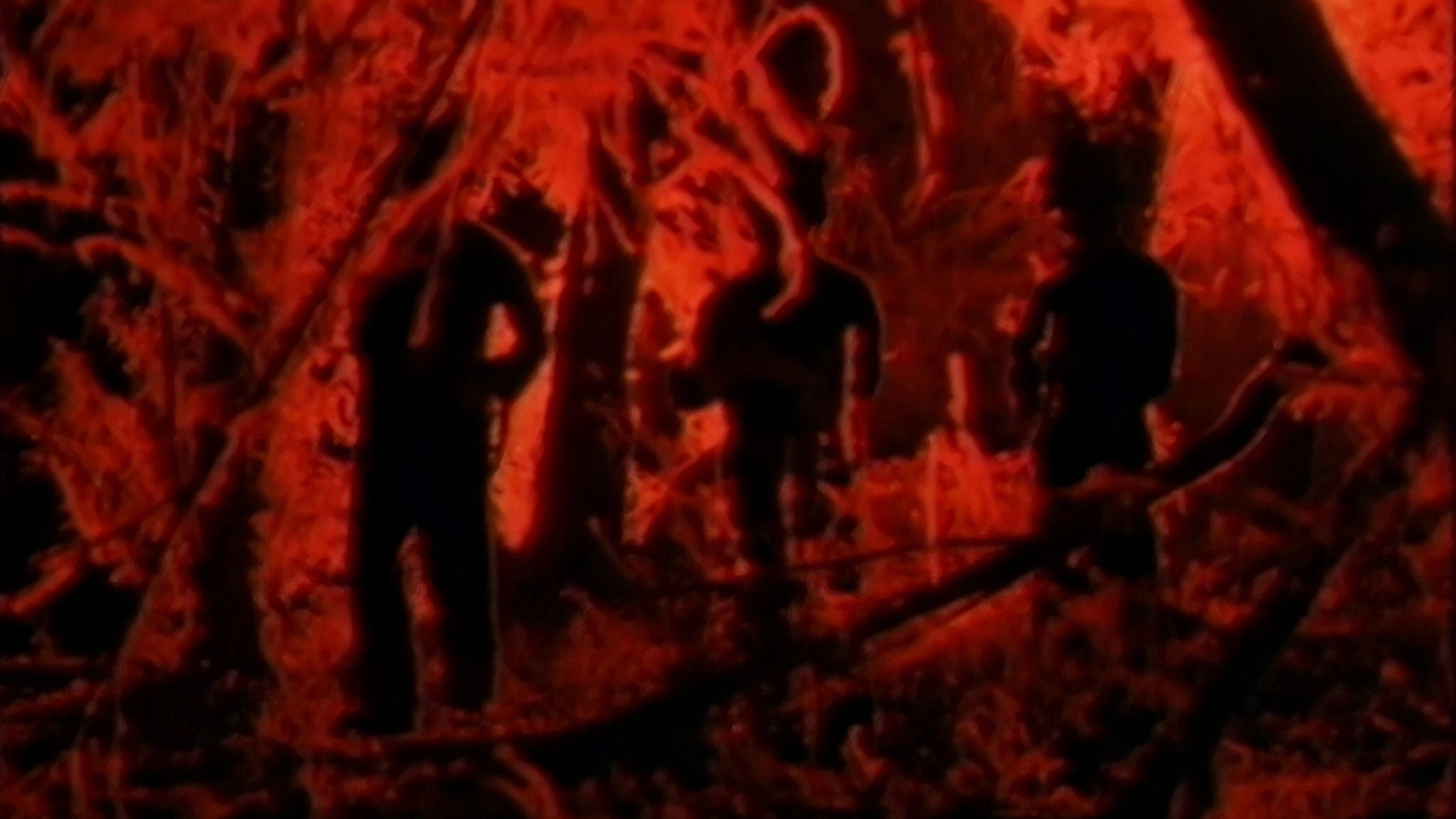 Night Wars