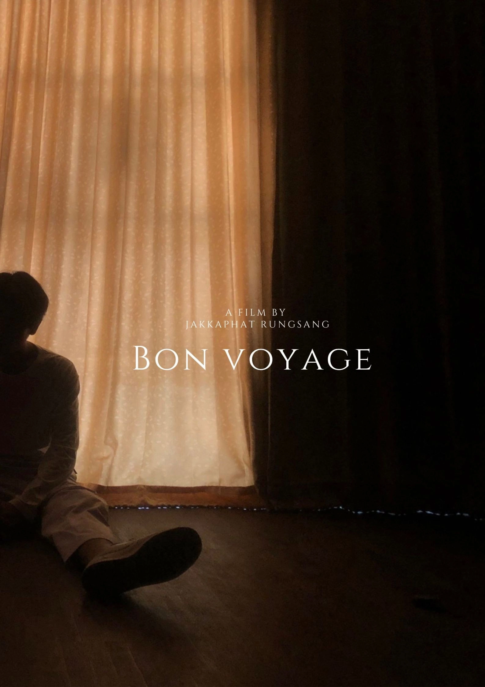 Bon Voyage