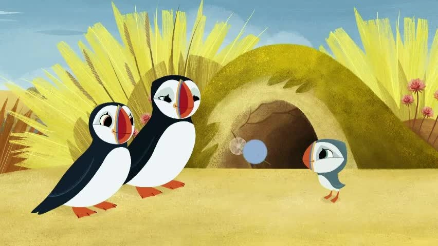 Puffin Rock